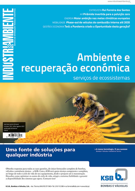 Ambiente e recuperação económica